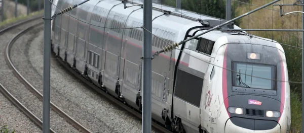Un TGV SNCF blanc et argent empruntant une voie courbe au milieu de la végétation.