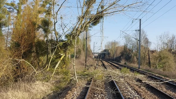 Un arbre obstruant les voies SNCF entre Caen et Lisieux, provoquant l'interruption du trafic.