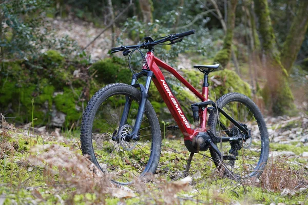 Le VTT électrique Nakamura E-Summit 950S en pleine nature forestière.