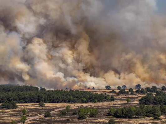 Épaisse fumée s'élevant d'un incendie sur un terrain d'entraînement militaire aux Pays-Bas.