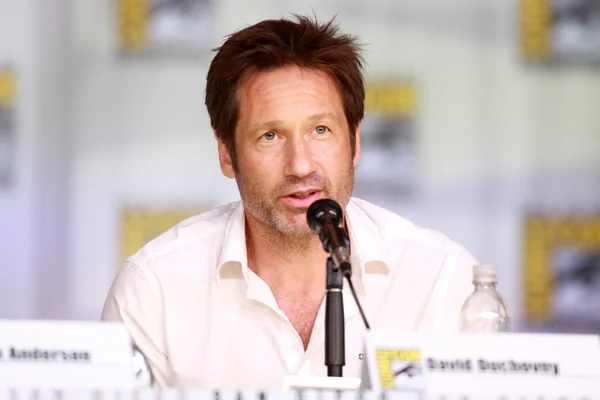 David Duchovny participant au panneau du 20e anniversaire de The X-Files au Comic Con de San Diego.