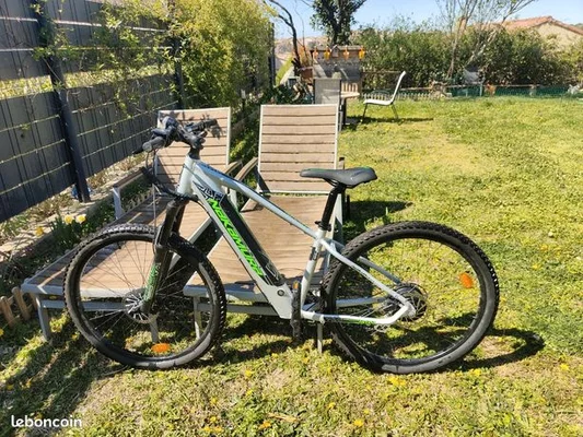 VTT électrique argent et vert stationné dans un jardin privatif.