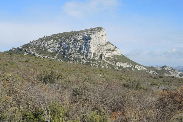 Paysage typique d'un massif forestier et rocheux près de Marseille.