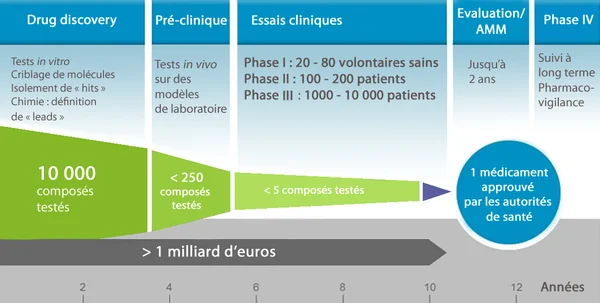 Infographie du parcours du médicament, de la découverte des molécules jusqu'à la phase IV des essais cliniques.