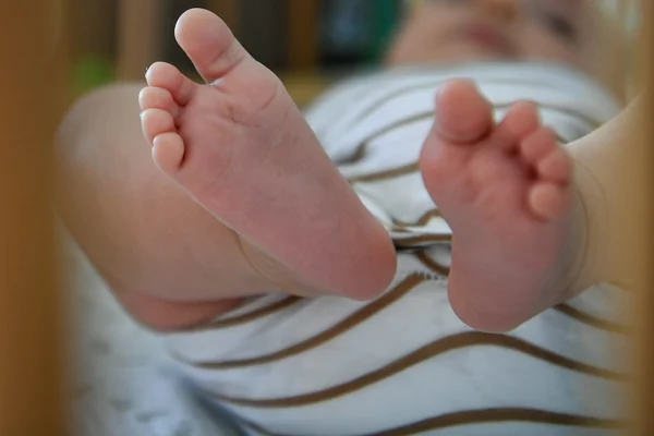 Un adulte tient tendrement un nouveau-né dans ses bras.