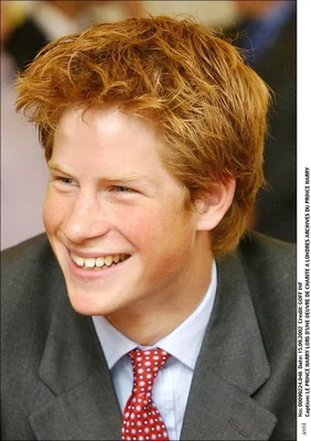 Portrait du prince Harry plus jeune, illustrant son évolution physique.