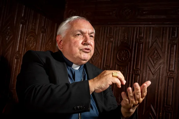 Un prélat en civil s'exprimant avec gestuelle.