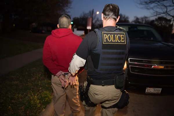 Alexandre Ramagem en costume cravate devant un fond violet.