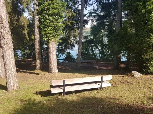 Banc de bois offrant une vue sur le lac de Paladru, dans un cadre forestier.