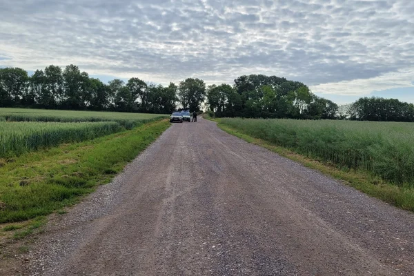 Route de gravier menant au site de fouilles du cimetière d'Émile Louis.