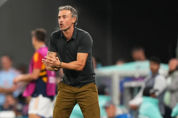 Luis Enrique exprimant son émotion sur le terrain lors d'un match.