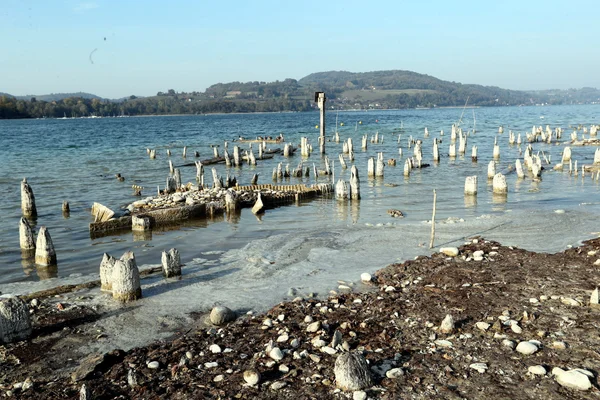 Pieux en bois, vestiges d'habitations néolithiques, émergeant des eaux gelées du lac de Paladru.