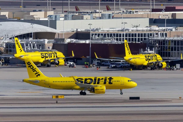 Plusieurs appareils de Spirit Airlines stationnés devant un terminal aéroportuaire.