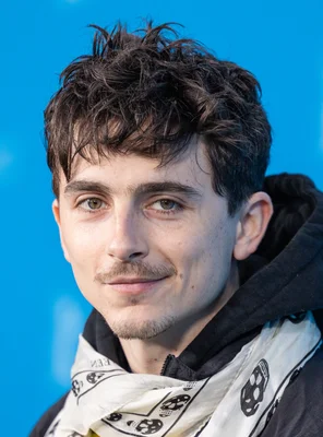 Timothée Chalamet posant pour un portrait stylisé.