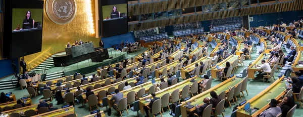 L'Assemblée générale des Nations Unies en séance, avec des délégués et une intervenante sur écran.