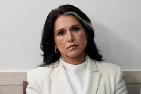Tulsi Gabbard, portrait officiel.