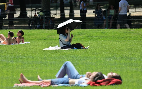 Personne se protégeant du soleil avec un parapluie dans un parc, lors d'un épisode de chaleur.