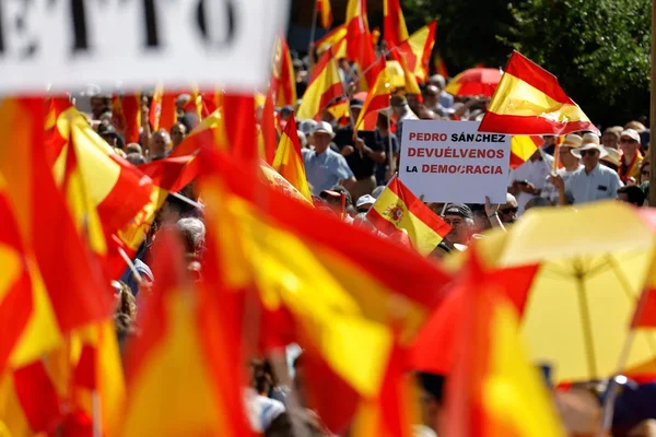 Manifestation à Madrid : une pancarte réclame 'Pedro Sánchez, rends-nous la démocratie'.