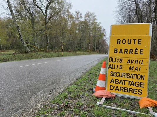 Signalisation indiquant la fermeture de la route du Ballon d'Alsace pour des opérations d'abattage d'arbres.