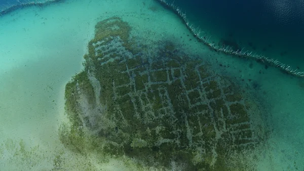 Structure submergée dans le lac de Paladru, vestige archéologique sous les eaux claires.