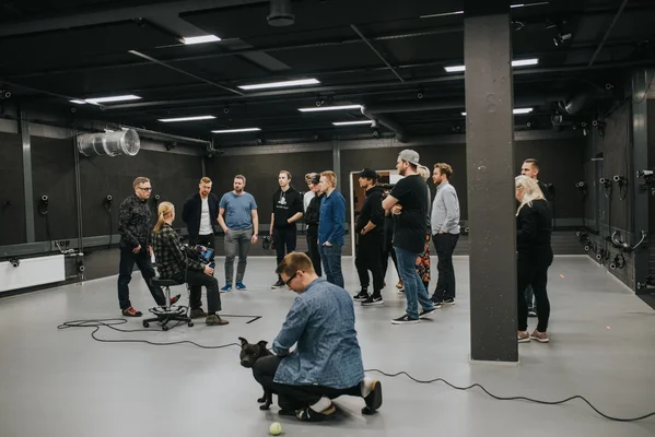 L'équipe de Remedy dans son studio, capturant l'ambiance de travail créative du développeur.