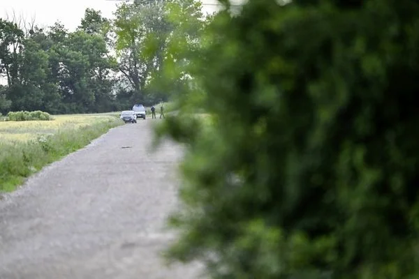 Vue d'un chemin de terre menant au site de fouilles du cimetière d'Émile Louis.