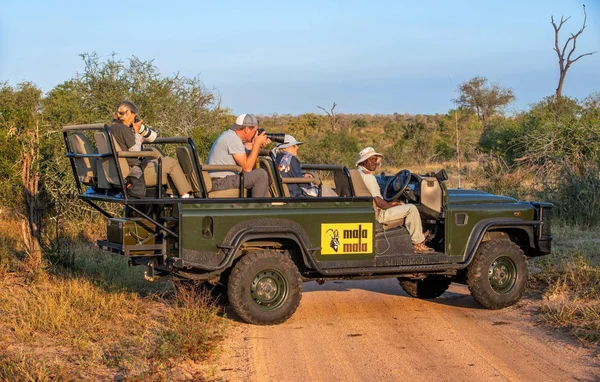 Touristes en safari photographiant la faune dans un parc sud-africain.