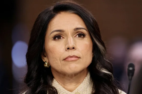 Tulsi Gabbard, portrait en gros plan.