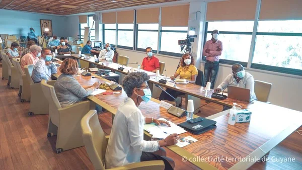 Réunion d'un comité scientifique territorial avec port du masque.