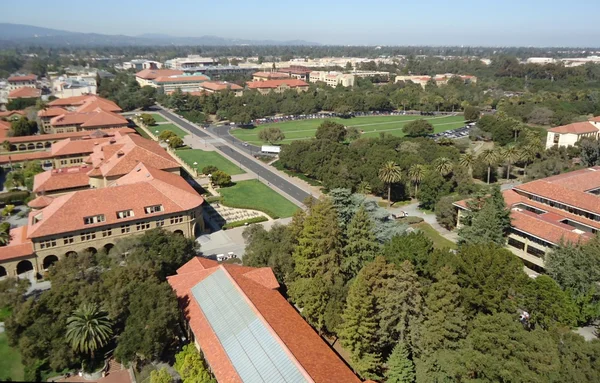 Stanford University campus -- looking from the Hoover Tower 14 floors up.