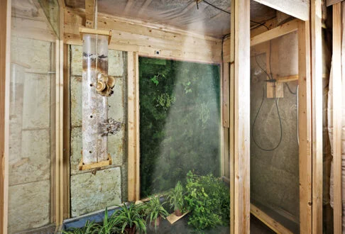 Aménagement low-tech avec isolation naturelle et plantes d'intérieur.