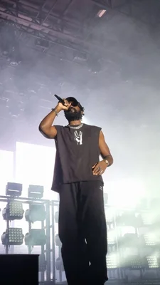 Damso électrise le public au festival Woodstower.