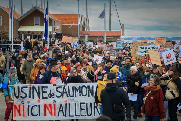Manifestation contre le projet de mégaferme de saumons en Gironde.
