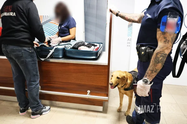 Saisie de stupéfiants par les douanes, présentée comme pièce à conviction dans une enquête sur le trafic de drogue.