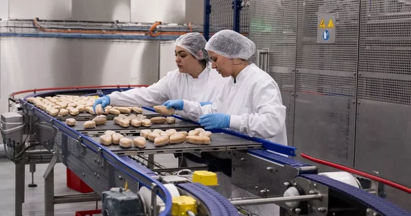 Ouvrières inspectant des pains en boulangerie industrielle, illustration de la production alimentaire.