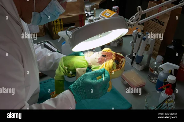 Un scientifique médico-légal prélève un échantillon d'adn d'une poupée sanglante, des preuves cruciales dans le meurtre, l'analyse de laboratoire de crime, l'image conceptuelle Photo Stock - Alamy