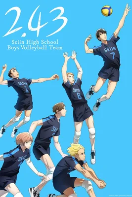 2.43 : Équipe de volleyball masculine du lycée Seiin - Affiche