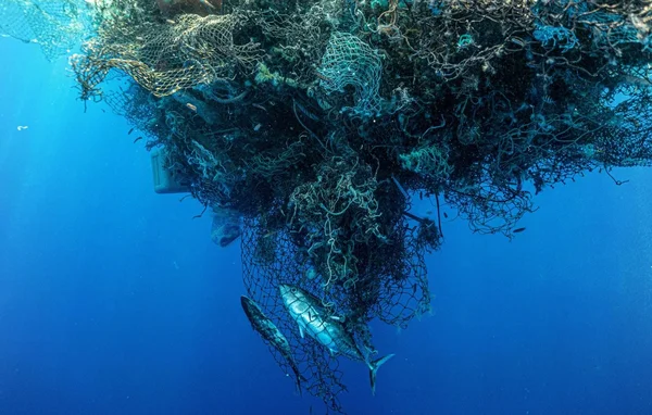 Amas de filets de pêche abandonnés et de débris plastiques dans l'océan, avec des thons nageant à proximité.
