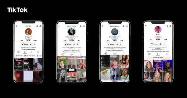 TikTok Pro : une nouvelle application "plus joyeuse" et caritative pour  amadouer l'Europe ?