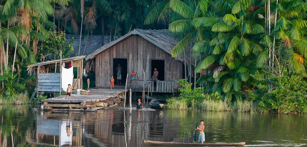 Habitation riveraine en Amazonie, montrant la présence humaine au cœur de la forêt tropicale.