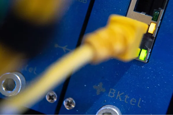 Câble Ethernet connecté à un équipement réseau, illustrant les infrastructures touchées.