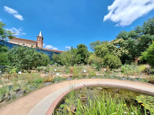 Le jardin botanique de Toulouse, un lieu ombragé et rafraîchissant ouvert en période de canicule.