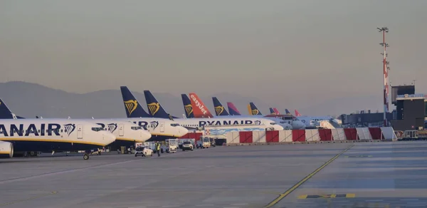 Avions de compagnies low-cost stationnés sur le tarmac d'un aéroport, illustrant les flux aériens vers le Golfe.
