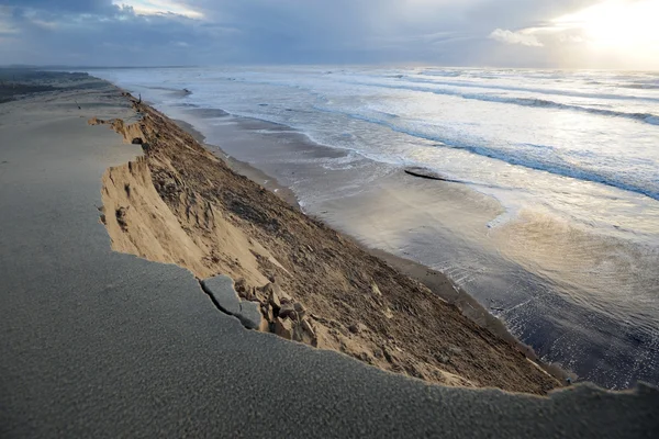 Côte sauvage de l'île d'Oléron, avec ses falaises de sable érodées.