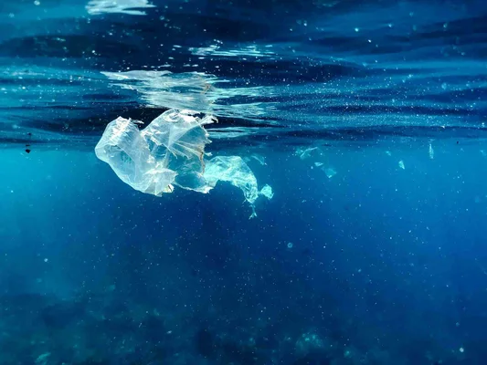 Sac plastique froissé flottant sous la surface de l'océan, symbole de la pollution marine.
