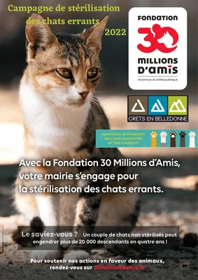 Affiche de la campagne de stérilisation des chats errants 2022.