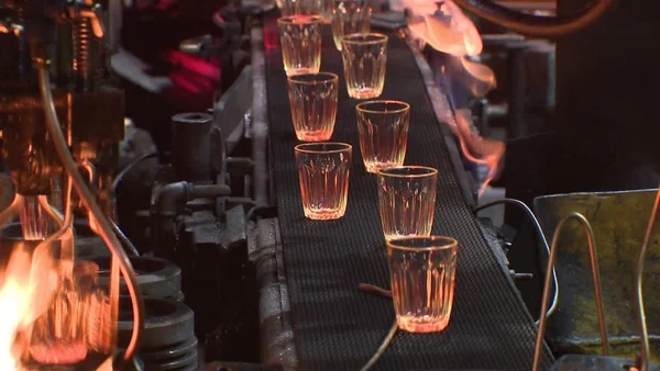 Processus de fabrication des verres Duralex : le passage au four de recuisson.
