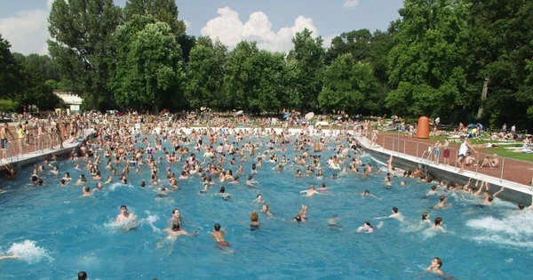 Piscine à vagues bondée lors d'une canicule, illustrant l'affluence massive dans les piscines allemandes.
