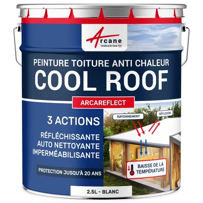 Produit de peinture réflective Cool Roof, conçu pour réduire la chaleur intérieure.