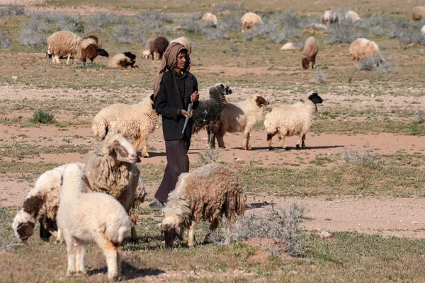 Un berger découvre une base secrète israélienne dans le désert irakien.